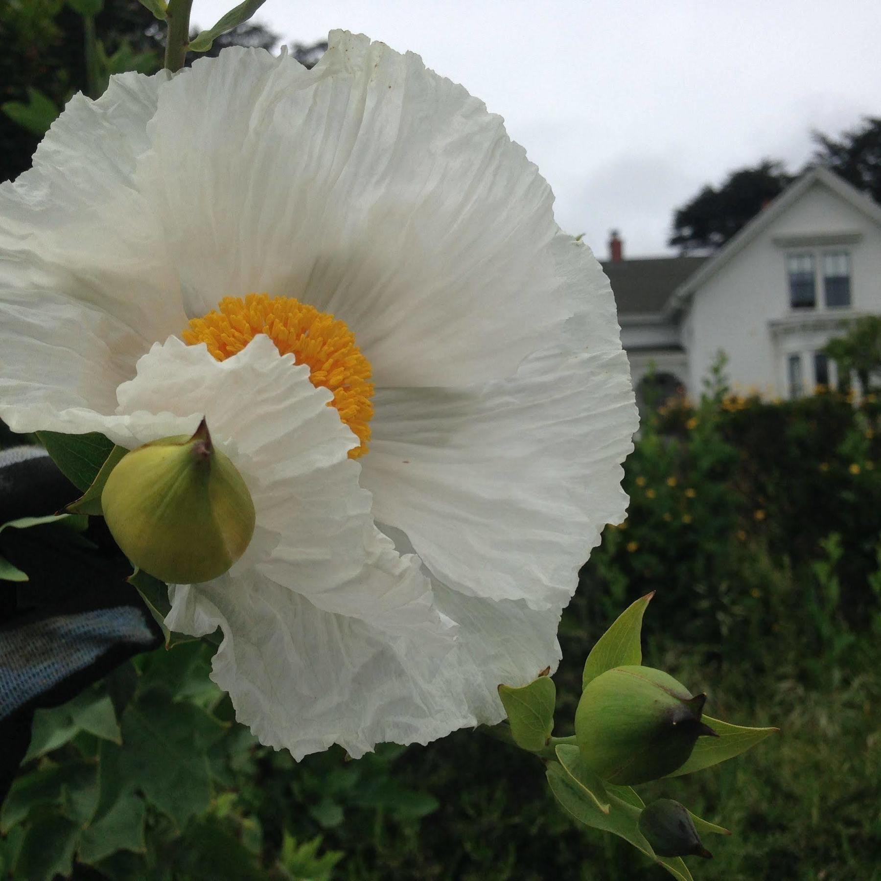 Joshua Grindle Inn เมนโดชีโน ภายนอก รูปภาพ